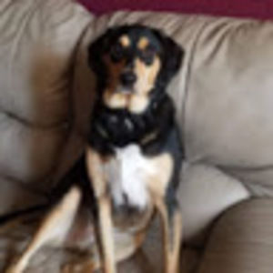 Meet your Posher, Michele